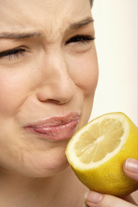 flavor-tripping-2 flavor-tripping-2