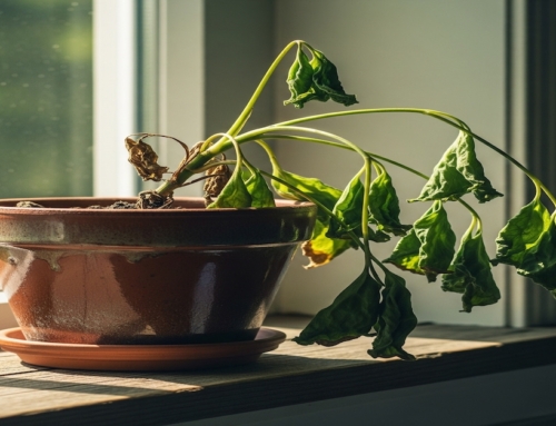 5 Reasons Your Business May Be Blocking Self-Organization